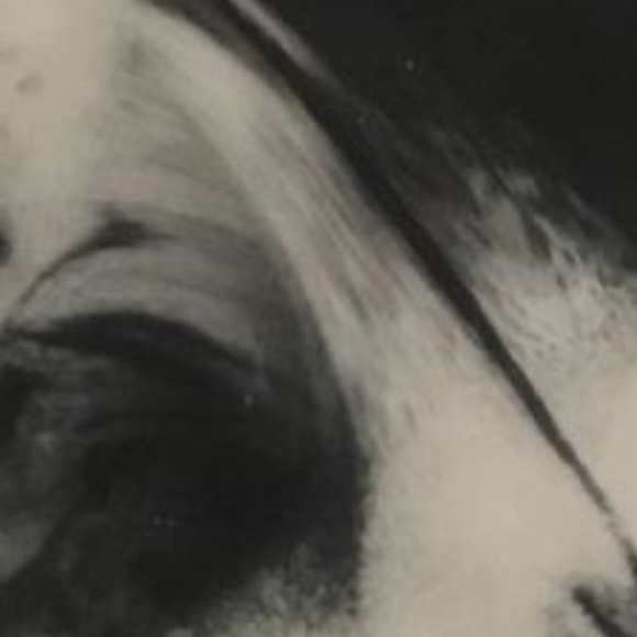 Meet your Posher, Treasure - Picture 1 of 1